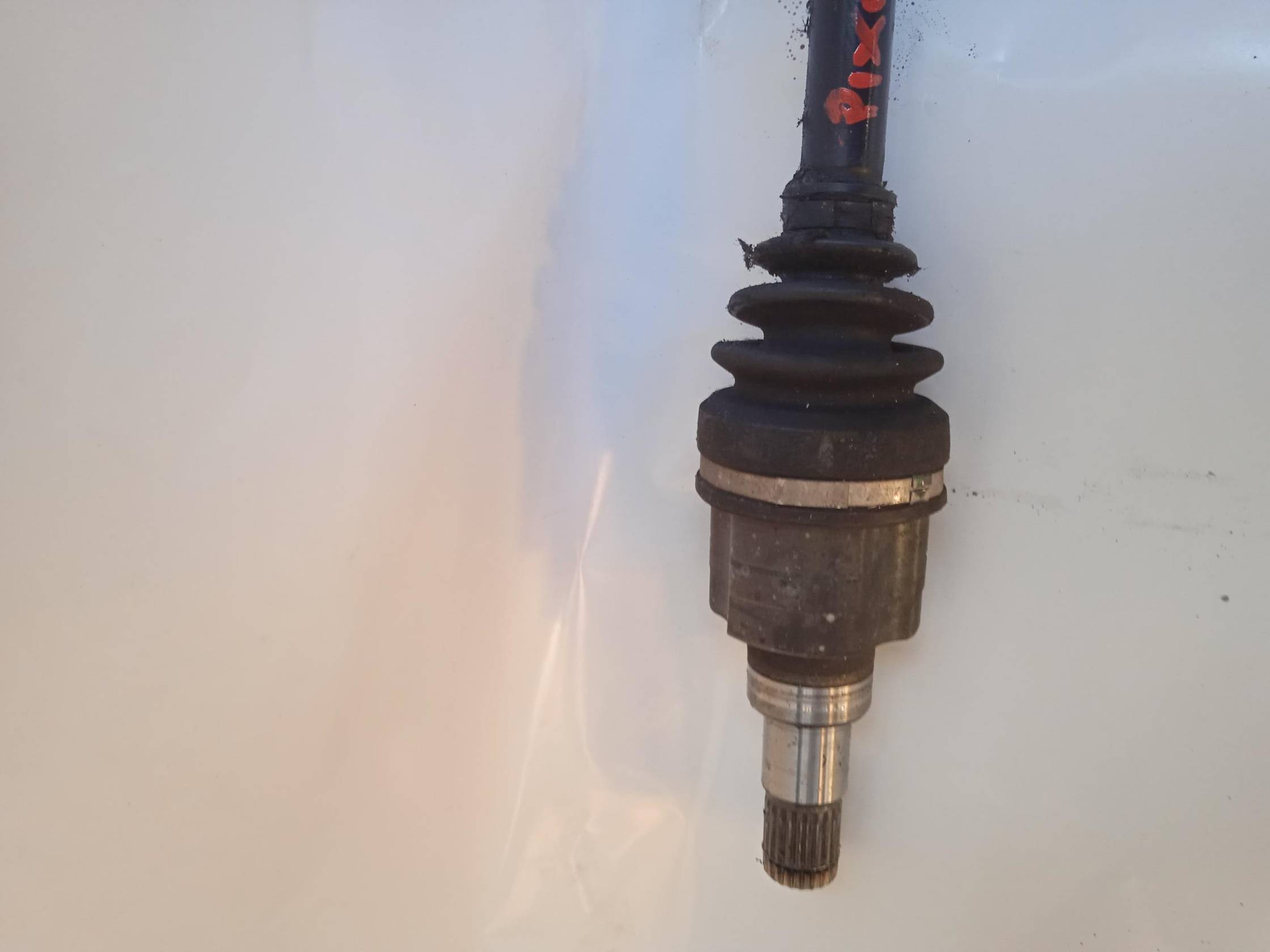 Semialbero ant. compl. sx.